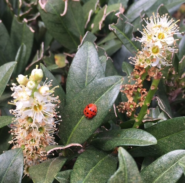 Photo of the Quarter